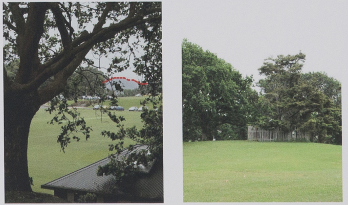 Designer chosen for Domain memorial (4)