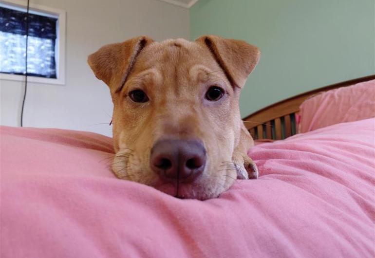 25Ceb5c3 C9c2 4E48 8F39 3770Ce584b7c