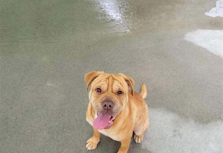 A436649b 66Ab 4420 Bfd3 E9fd9c37906c