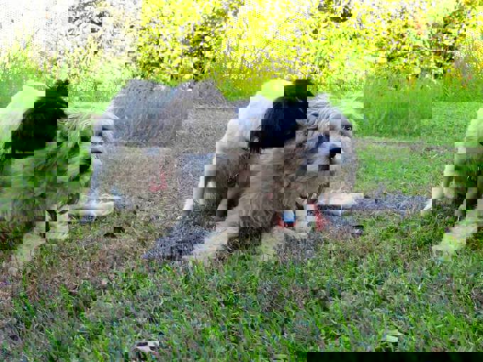 5. When Pat met Suzie - Suzie and Pat cover.jpg