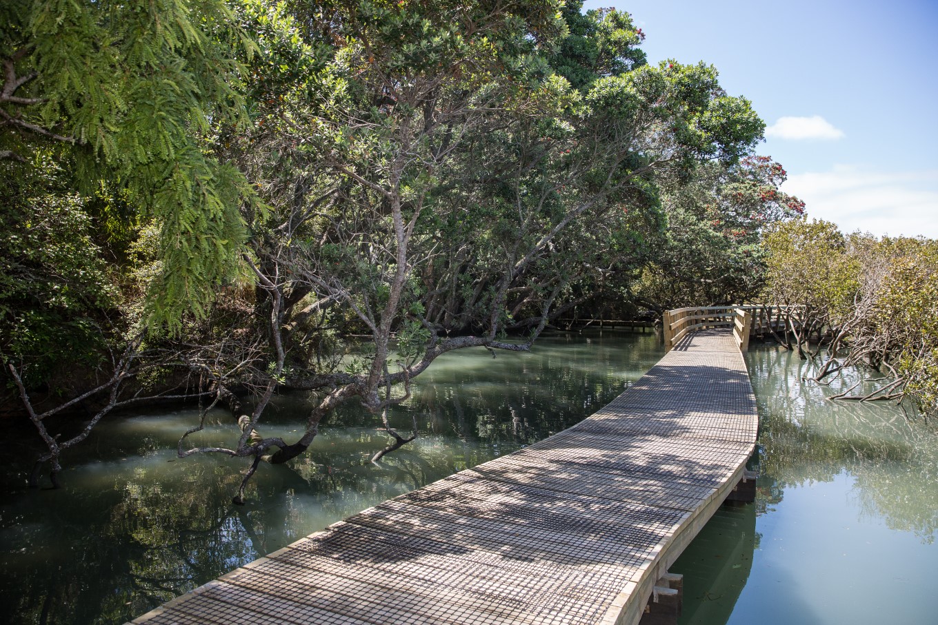 At high tide the Weona-Westmere Path makes you feel like you’re floating above the mangroves.