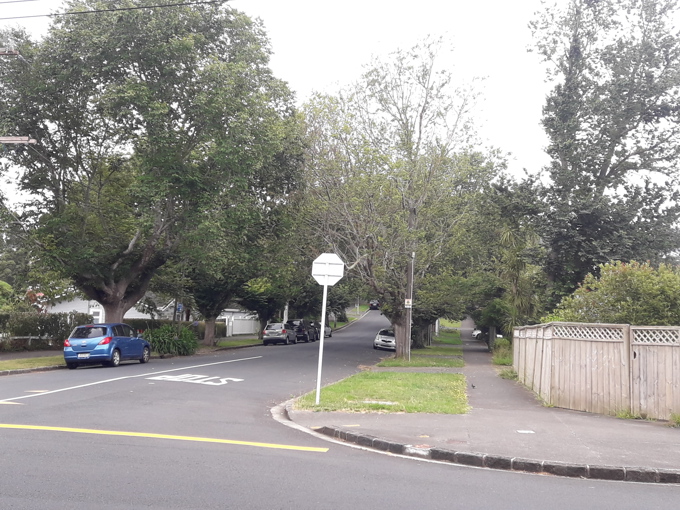 Dutch Elm Albert Eden