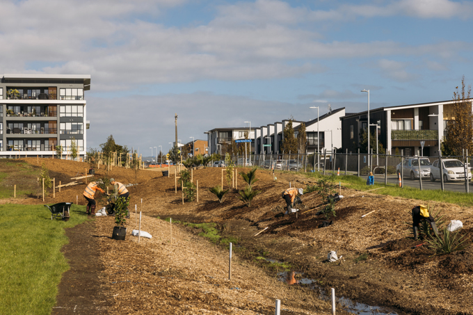 Hobsonville’s new park