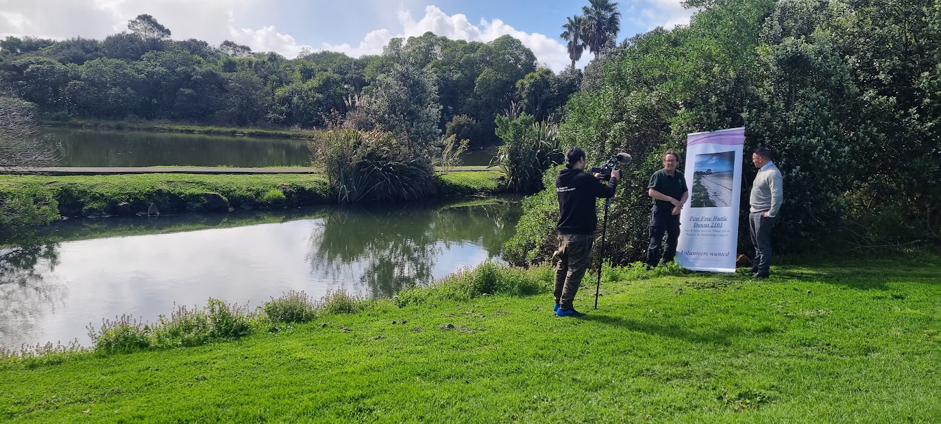 Filming with eco-warrior Row Robinson at Wattle Downs.