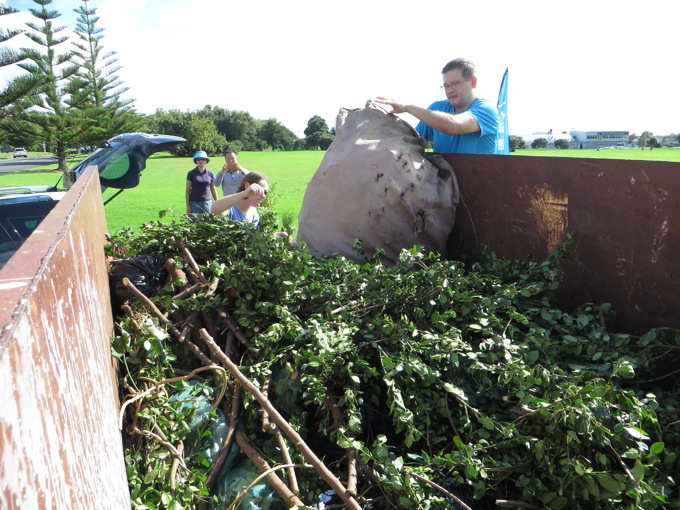 Bin weeds from Howick backyards3