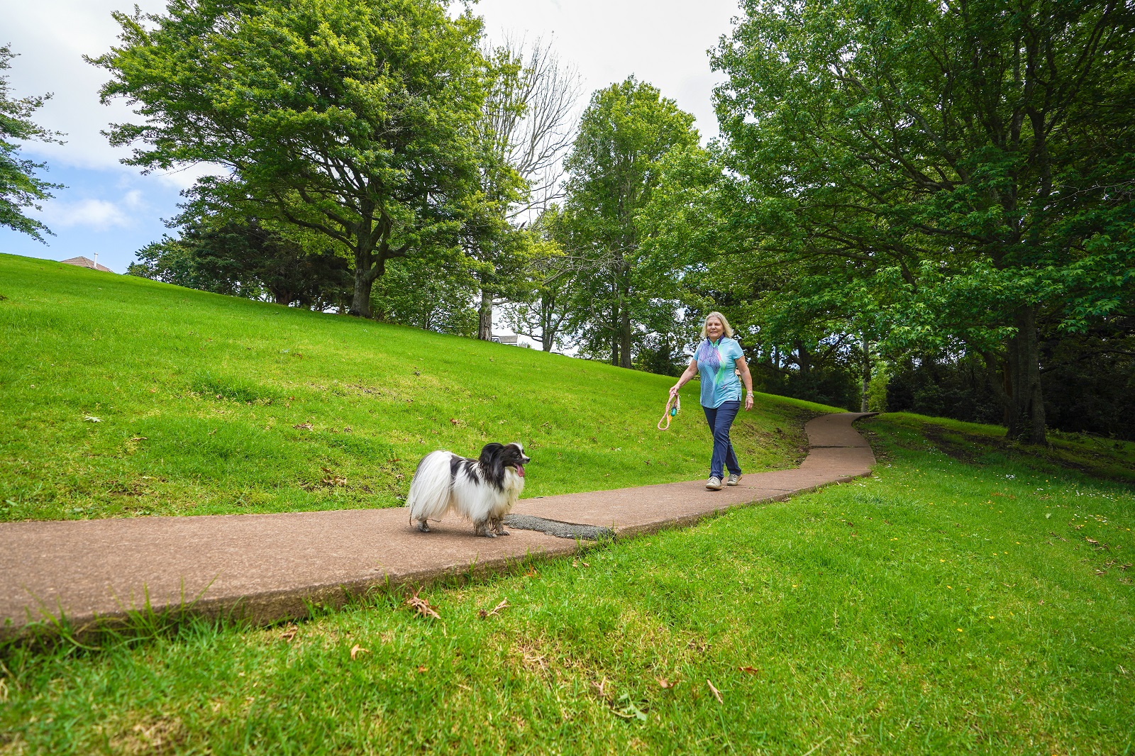 Waiata Reserve