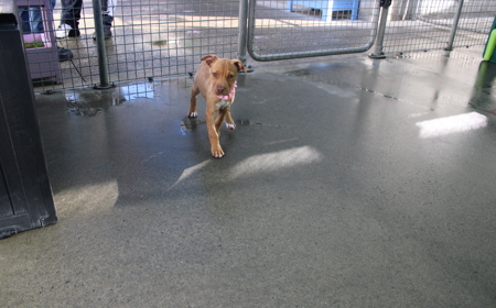 Kobalt tile image