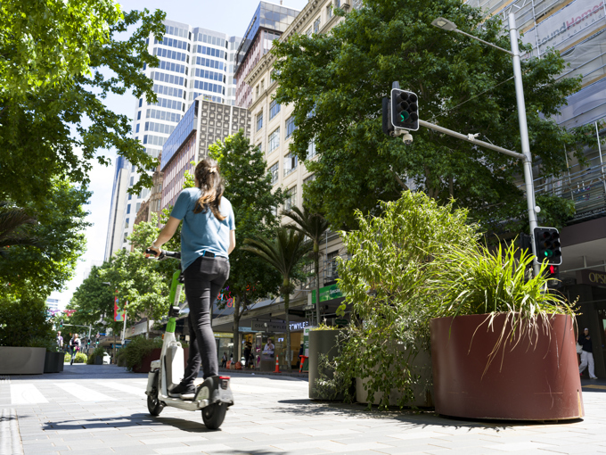 Queen Street Scooter Rider Plants
