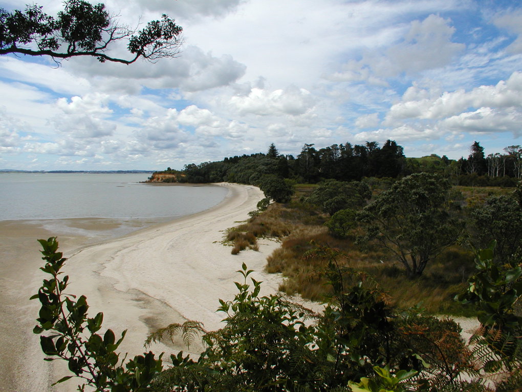Ten top things to do in south Auckland this spring (2)