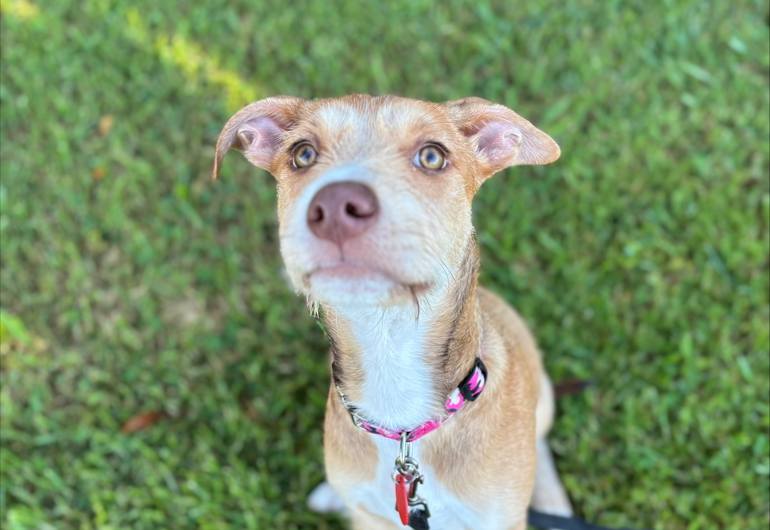 Processed 9FE80589 8C04 4B83 8562 9A8053FE50D4