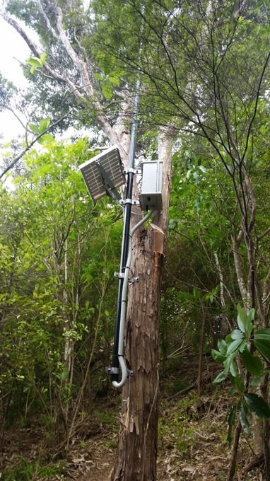 Wireless pest monitors a game-changer in biosecurity