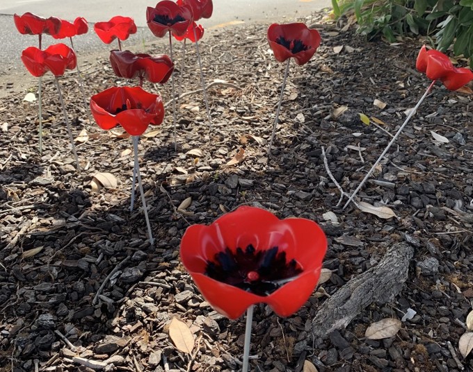 Plastic poppies planted in community garden