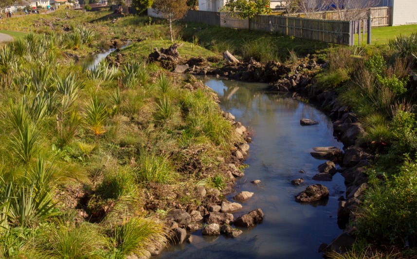 pollution-prevention-project-to-protect-waterways-in-waitemata