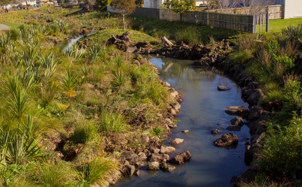 Pollution prevention project to protect waterways in Waitemata