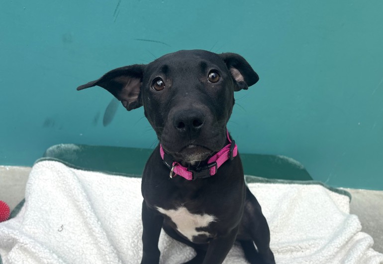 Image 2026 02 15T142804.417