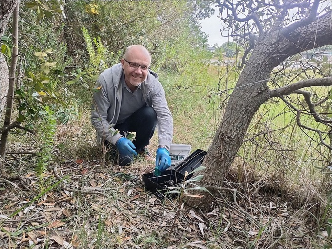 Call for Awaruku neighbours to join predator control efforts