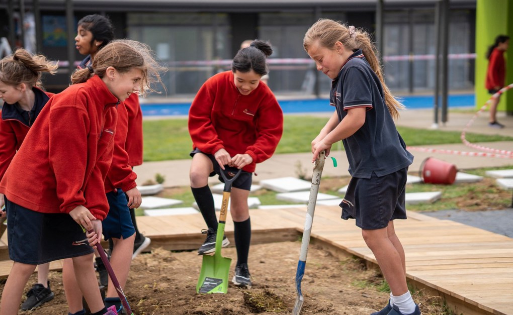 SouthSci funding opportunity open to the community (1)
