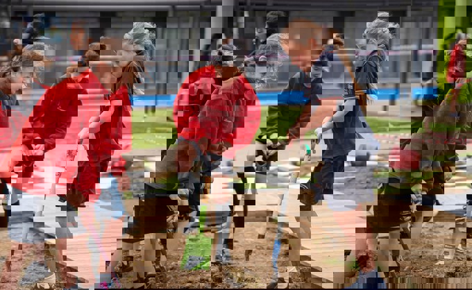 SouthSci funding opportunity open to the community (1)