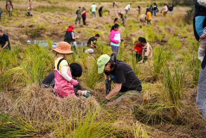 International Volunteer Day Image 5