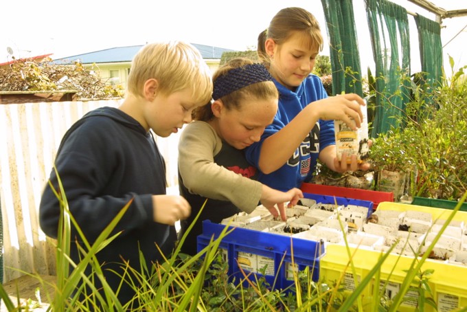 Trees for Survival image 2