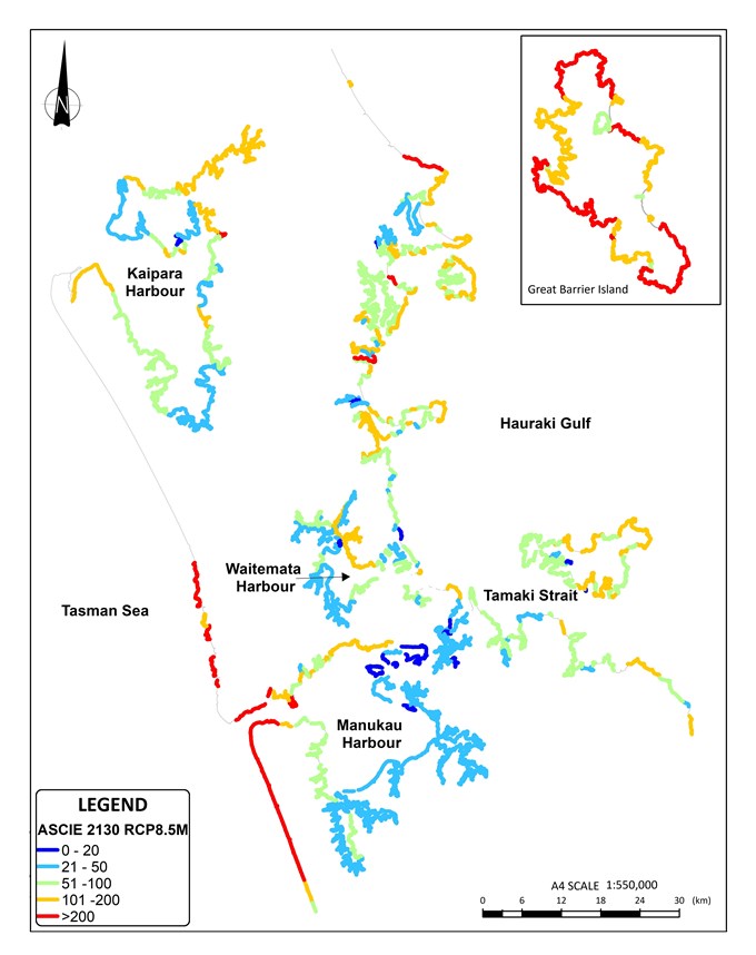 Prediction and planning – coastal erosion in Tāmaki Makaurau (1)