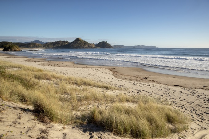 Local board supports St John mental health course on Aotea