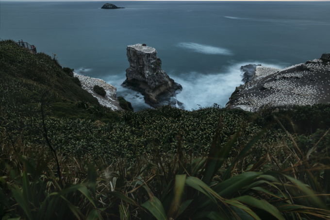 Placard Downgrade Story