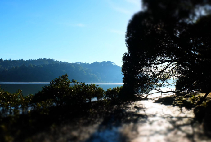 Help shape a plan for Upper Harbour's future