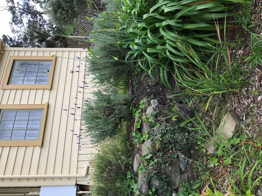 Vaughan Homestead Rock Wall