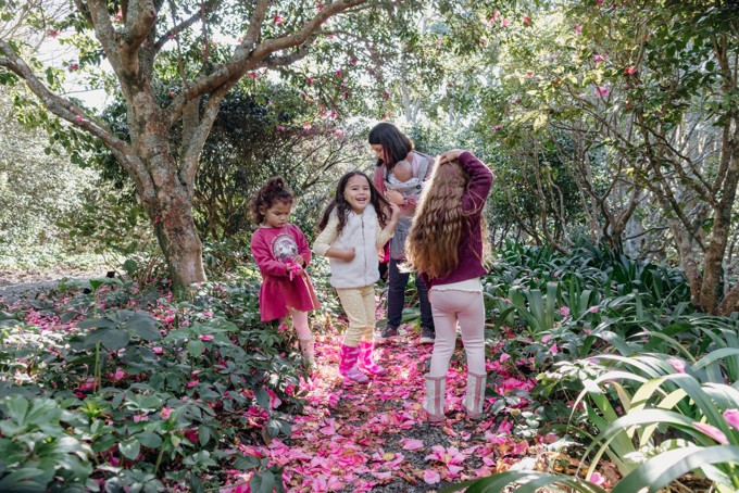AC Botanical Gardens Camelias 69