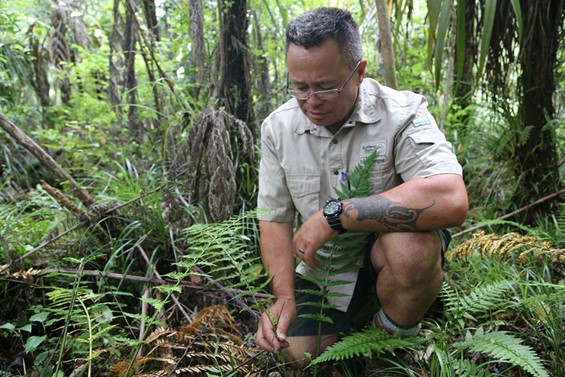 PHOTO: WĀITAKERE RANGES REGIONAL PARK RANGER RIKI BENNETT