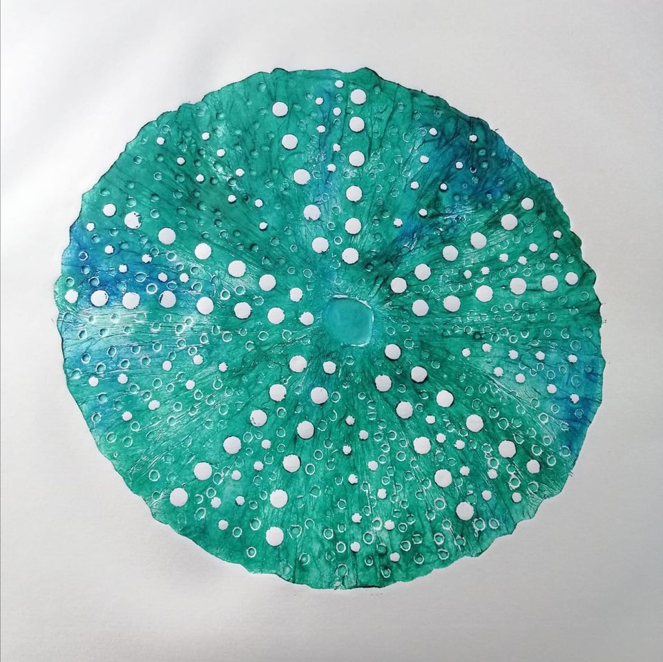 First Impressions Art Exhibition OurAuckland