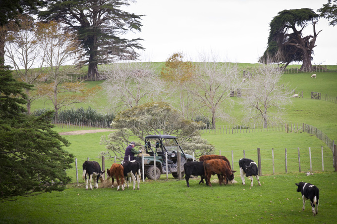 From coast to countryside, Rodney’s parks offer something for everyone