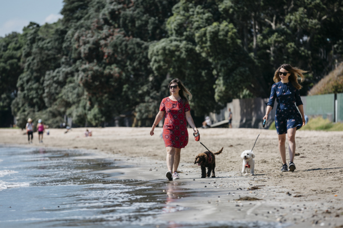 Dog days - great summer dog walking spots