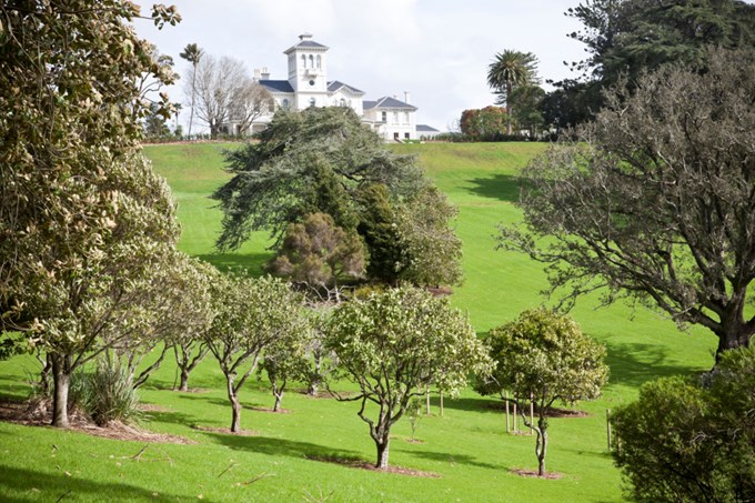 Get together on these central Auckland walks