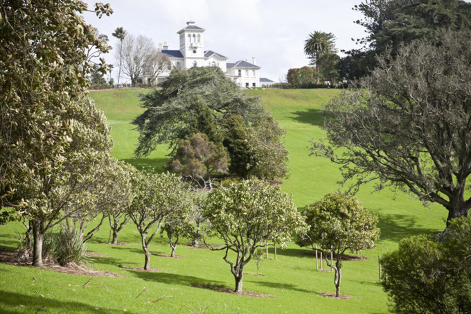 Get together on these central Auckland walks