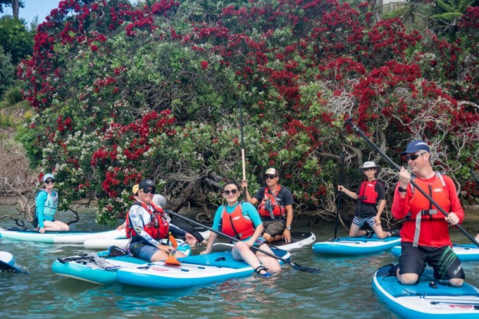 Hibiscus Coast Image Updated