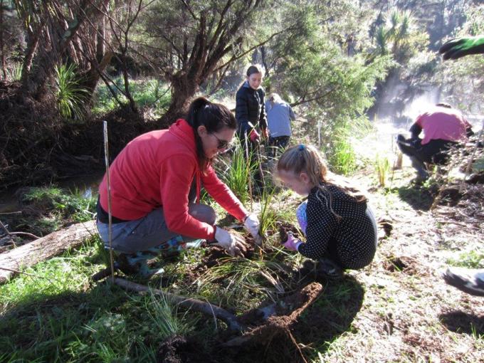 Meet a Pest-Free Hero – Matuku Link (1)