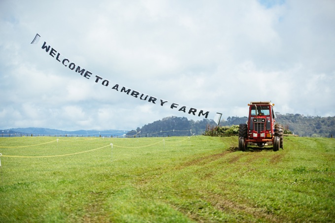 Get in behind Ambury Farm Day