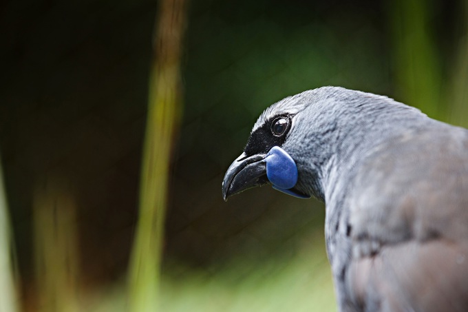 24668963023 B6fb35780e 6K