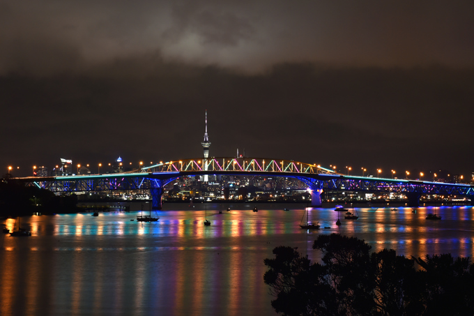 Vector Lights celebrates its first birthday