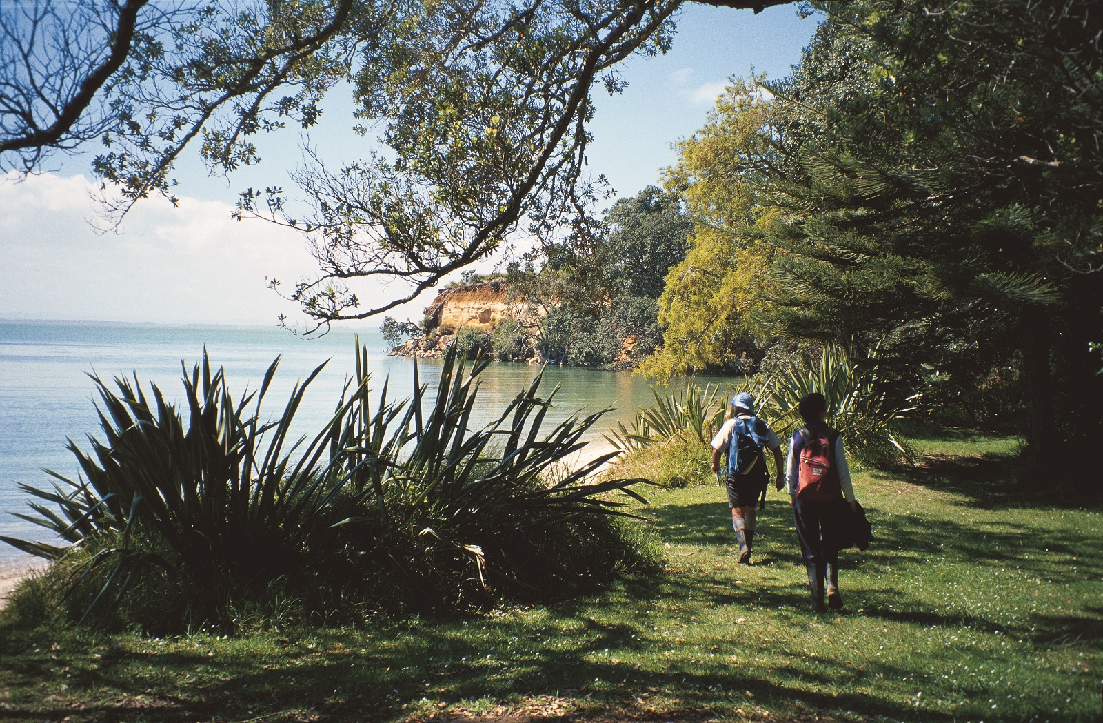 Āwhitu Regional Park