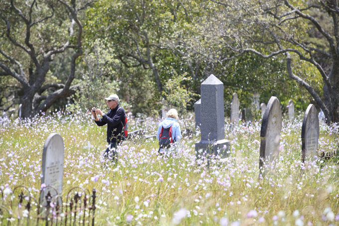 A plethora of ways to maintain your well-being with parks 9