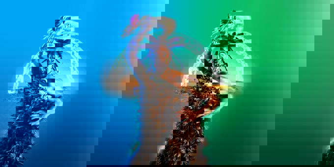 Haka Is Here Te Matatini Header