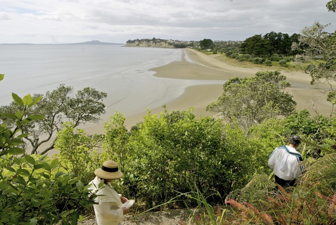 Great walks around Auckland