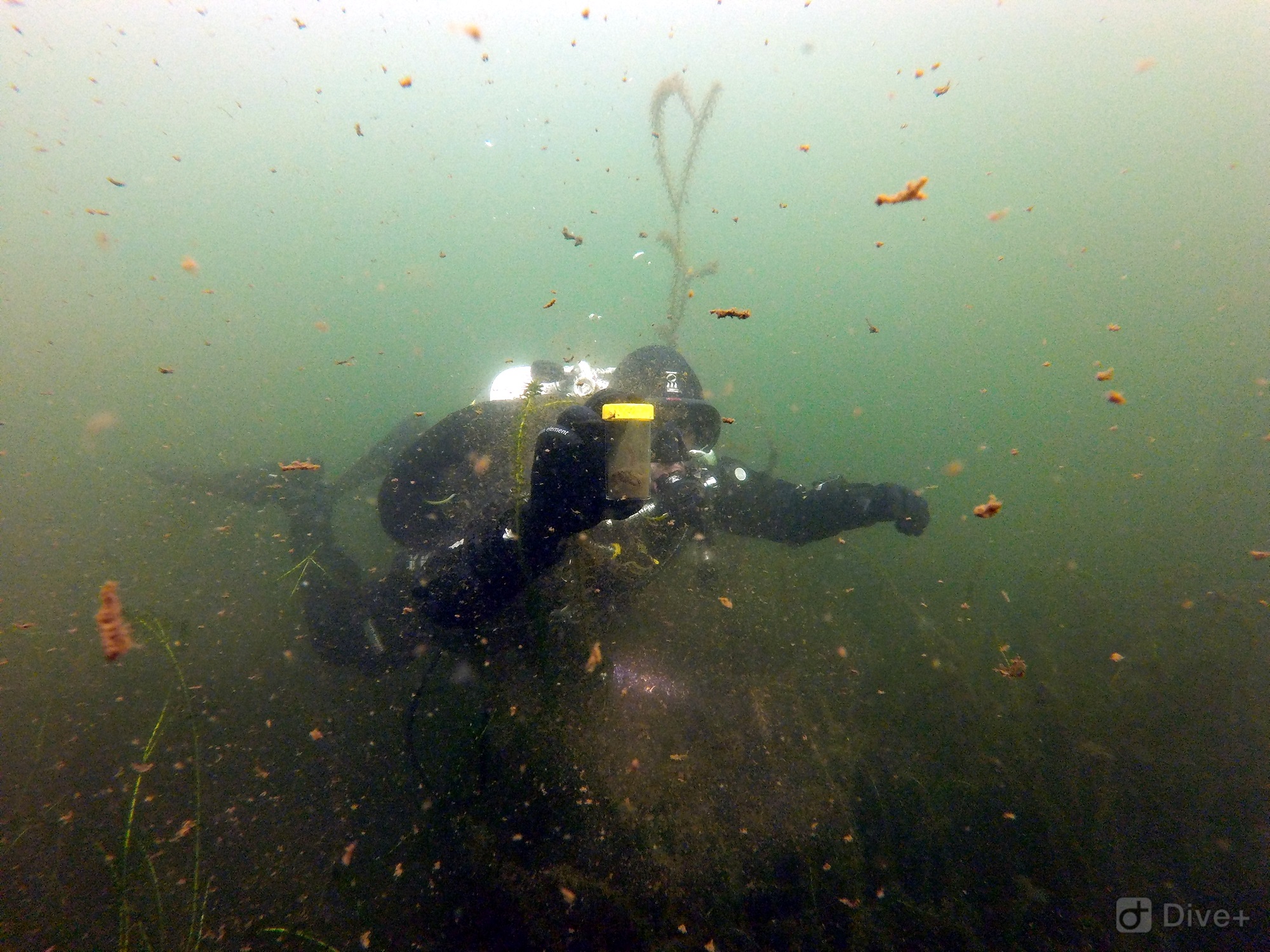 Restoring Lake Pupuke a high priority OurAuckland