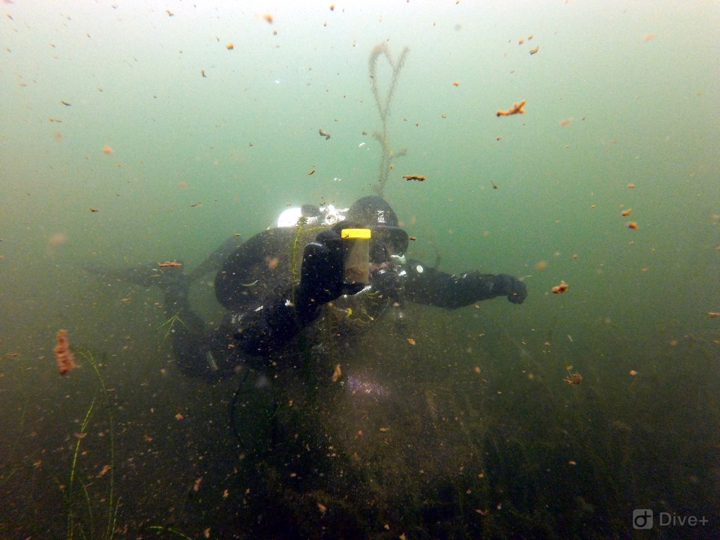 Lake Pupuke 2