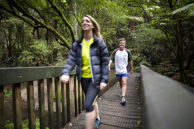 Auckland walks to do this winter (6)