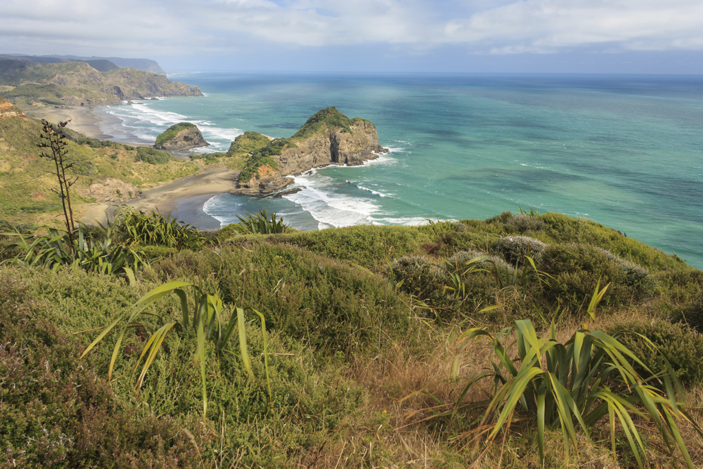 Challenges for Auckland's environment