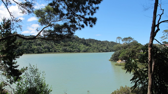 The hidden gems that are urban forests 1